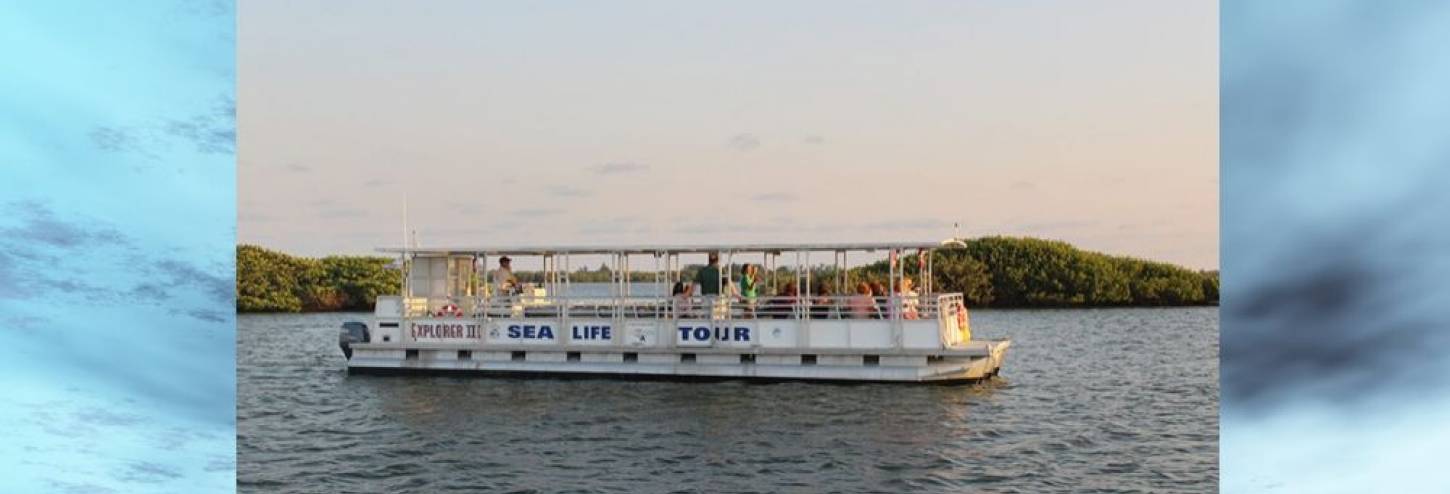 Tarpon Bay Explorers Nature Cruise